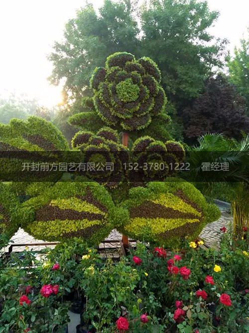 河北石家莊項目